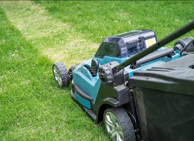 Folding Wagon Exports Hit Record High as Global Market Expands