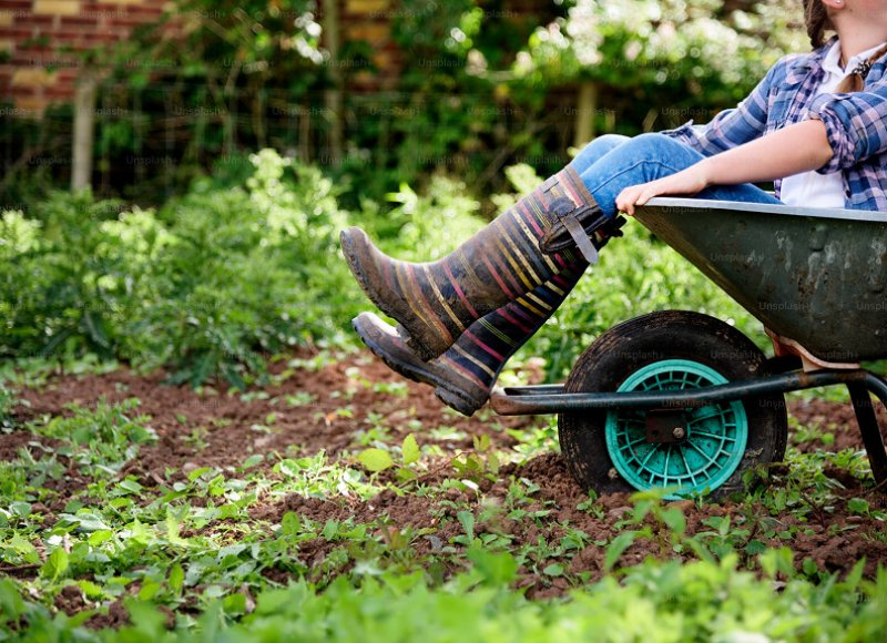 Convenient and Durable Folding Wagons Gain Wide Recognition