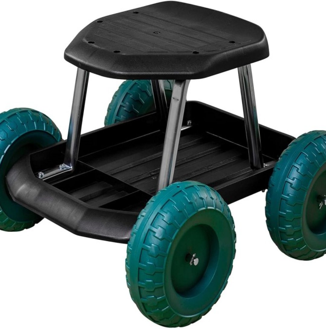 71+I-oLC1bL._AC_SL1500_ (1)