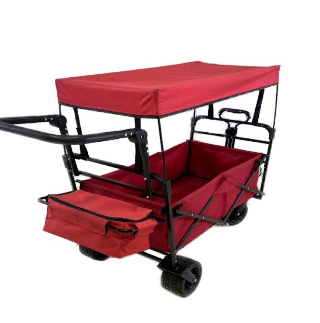 Folding car with canopy HR15-03