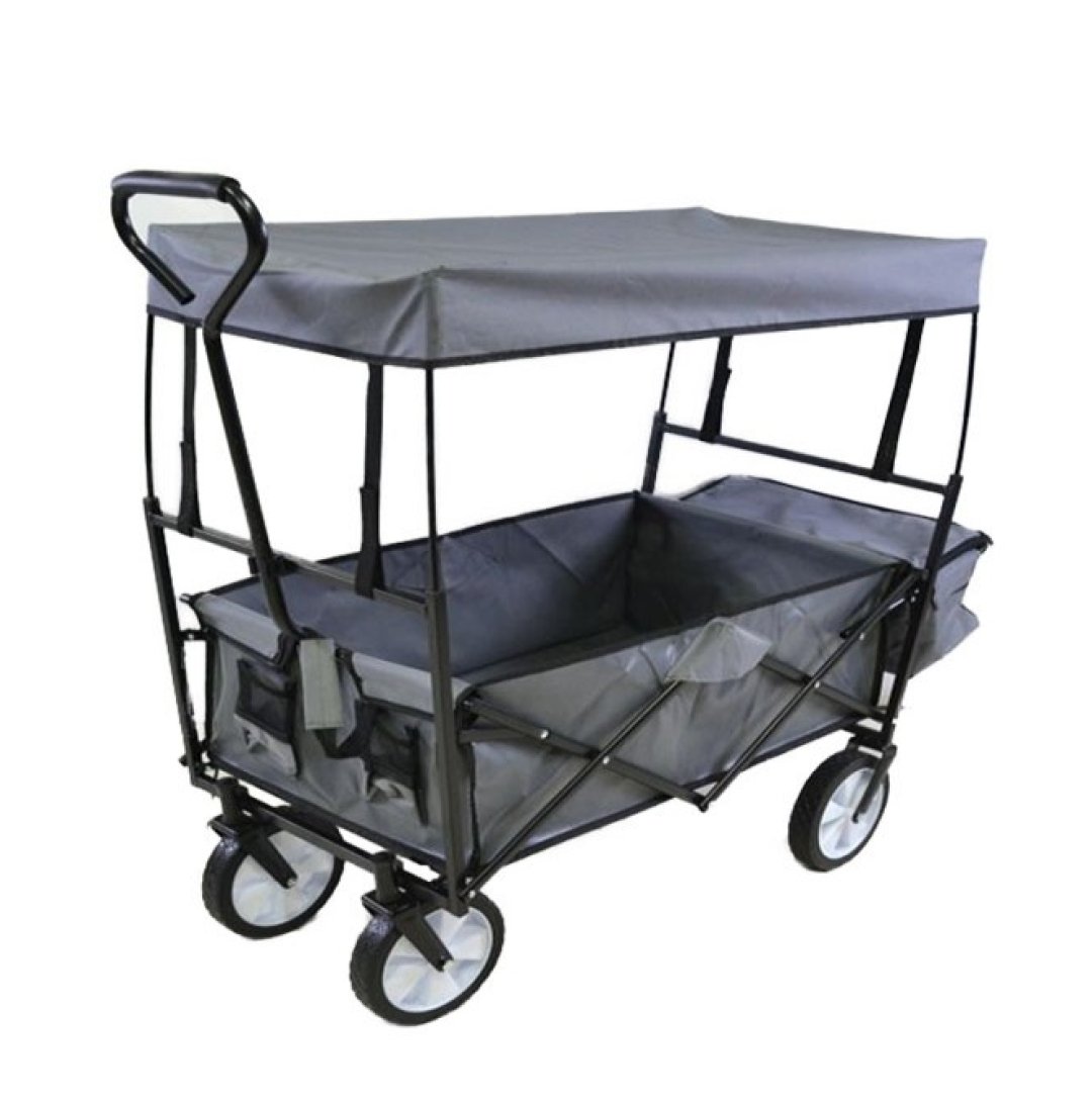 Folding car with canopy HR15-01